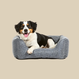 Category image: Dog Beds